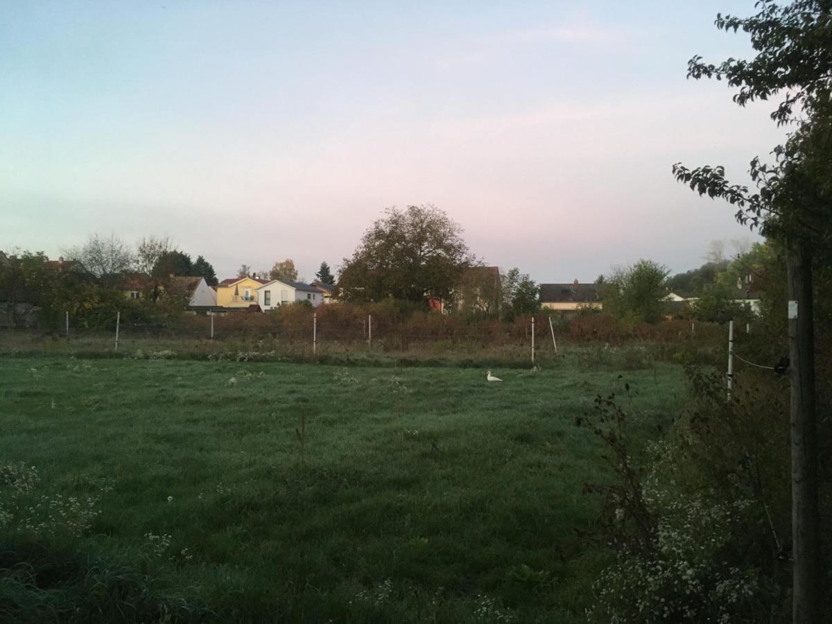 Alte Heimat Apartment Schwegenheim Luaran gambar