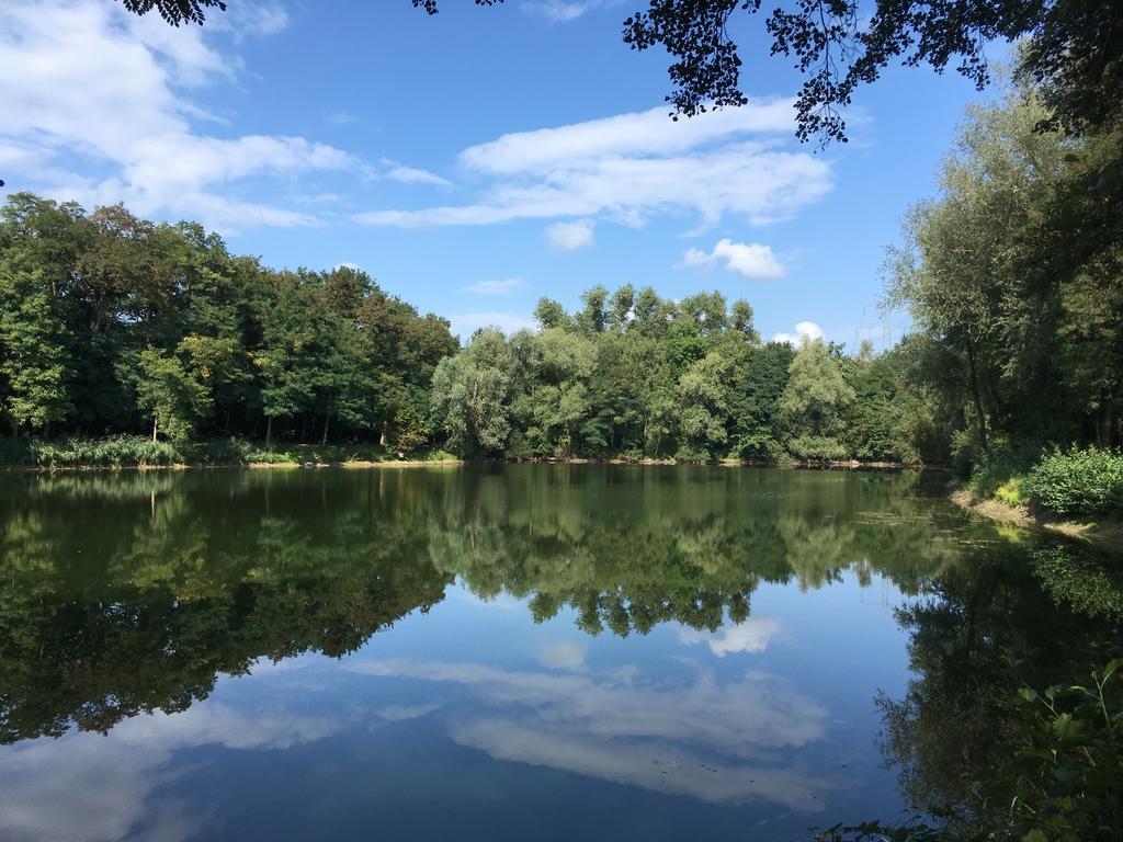 Alte Heimat Apartment Schwegenheim Luaran gambar